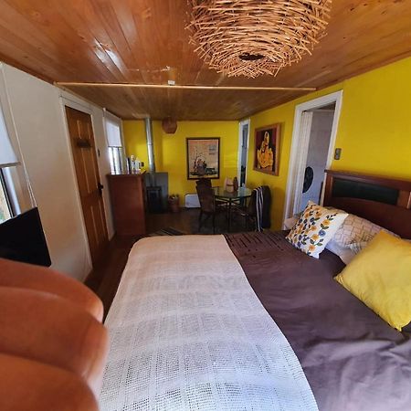 Cabana Corazon De Colchagua Sta Cruz Daire Nancagua  Dış mekan fotoğraf