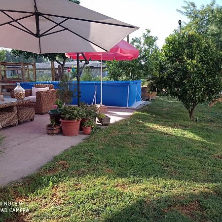 Cabana Corazon De Colchagua Sta Cruz Daire Nancagua  Dış mekan fotoğraf