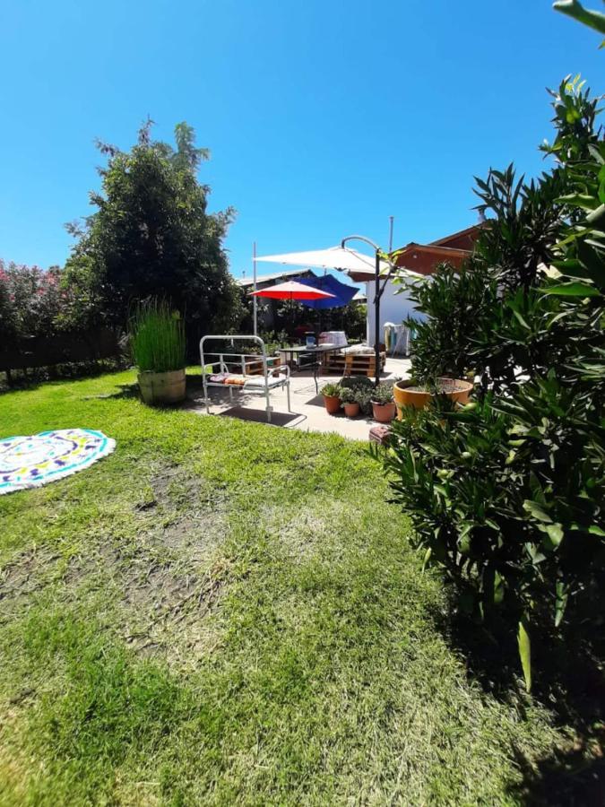 Cabana Corazon De Colchagua Sta Cruz Daire Nancagua  Dış mekan fotoğraf